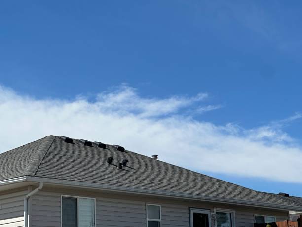 Best Metal Roofing Installation  in Westfield Center, OH